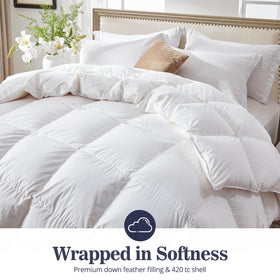 Globon 700-fill-power white down bedding offering balanced warmth and breathability.