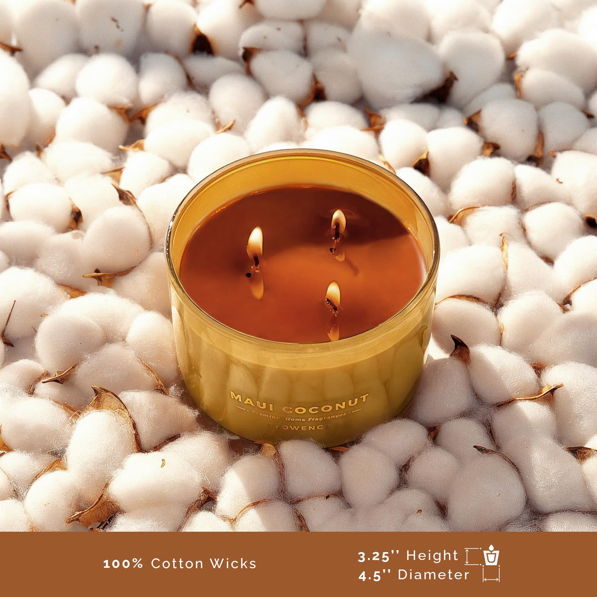 Glowence coconut candle enhances home ambience with soft, inviting light.
