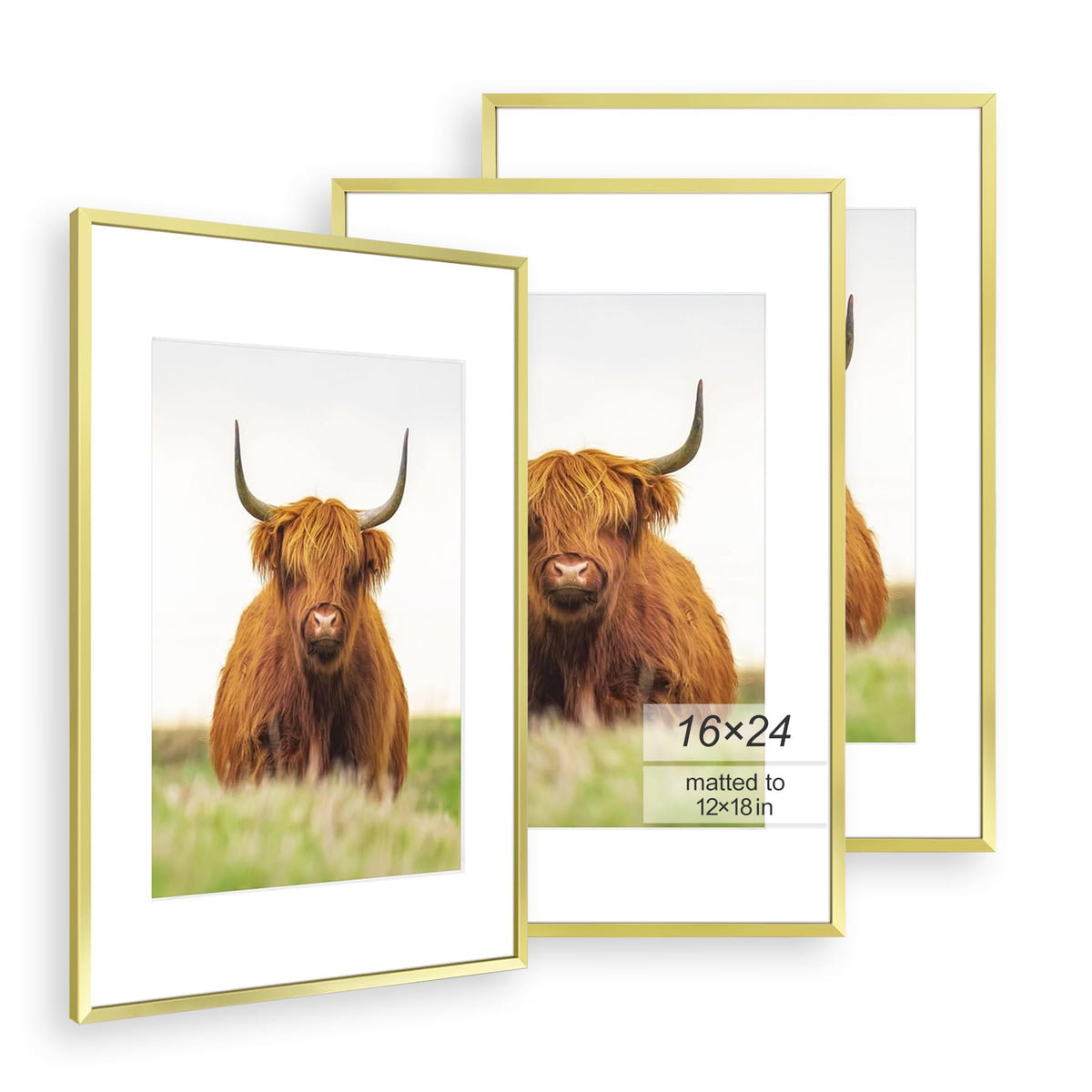 Golden State Art 3-pack 16x24 frame with gold thin border for elegant wall displays