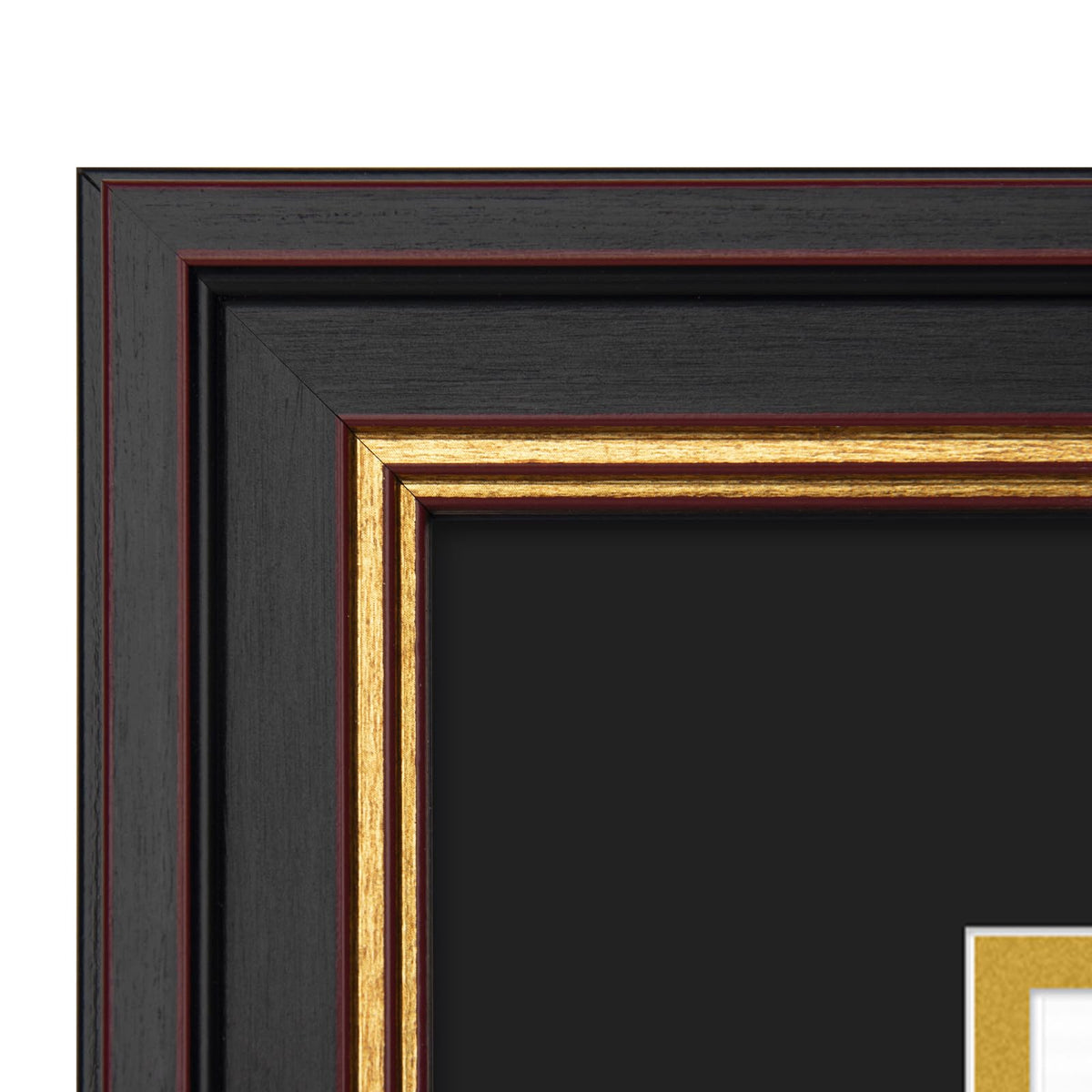 Golden State Art 11x14 frame ideal for diplomas or certificates.