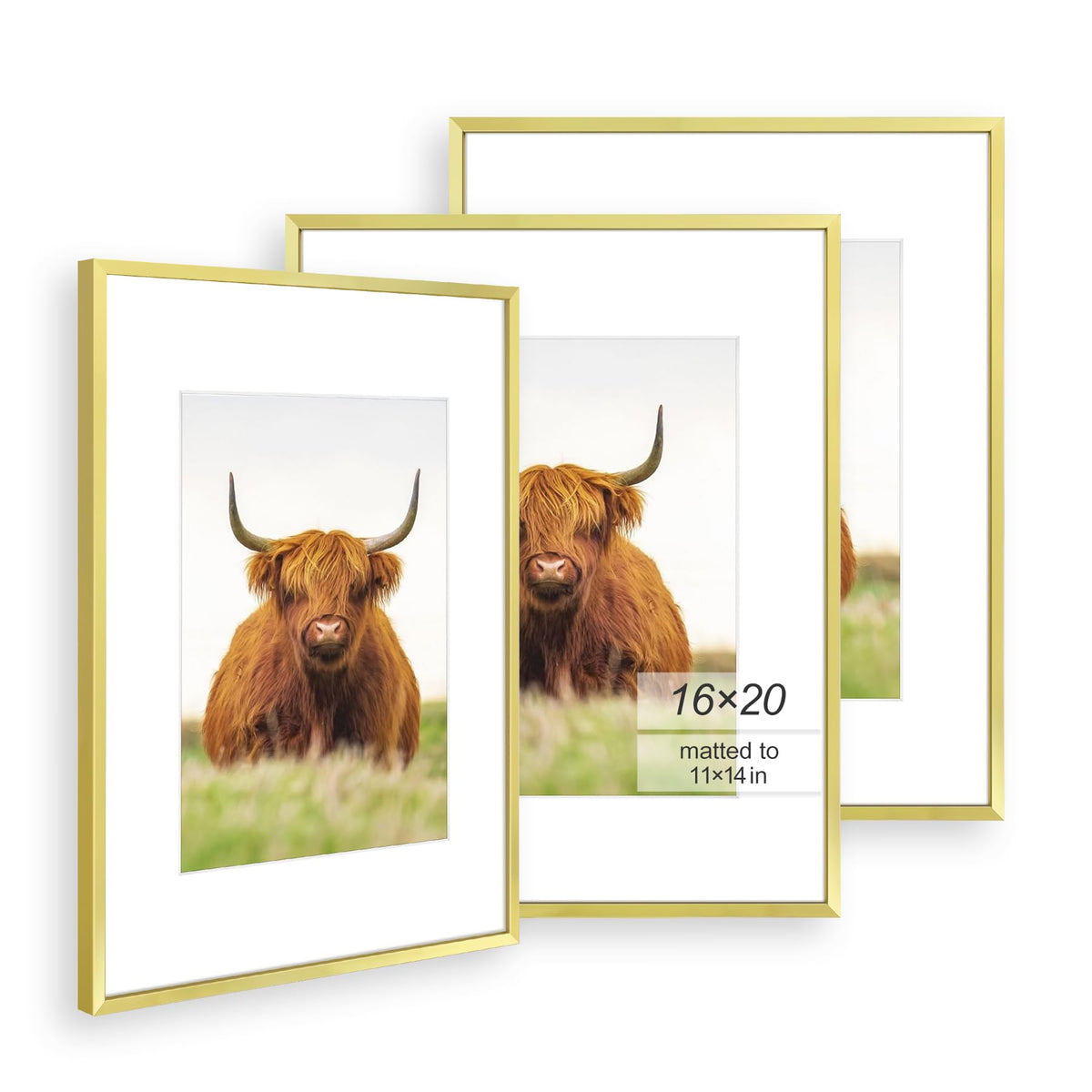 Golden State Art 16x20 frame set with gold thin border for a cohesive gallery wall.