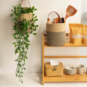 Goodpick wall hanging basket stores umbrellas and keeps entryways neat