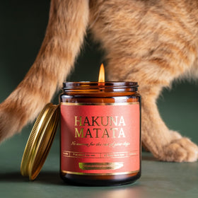 Got You a Little Something lavender vanilla scent close-up shows relaxing, long-lasting aroma.