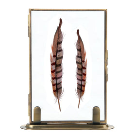 Goutangen brass floating frame front view displaying a 5x7 photo on a tabletop.