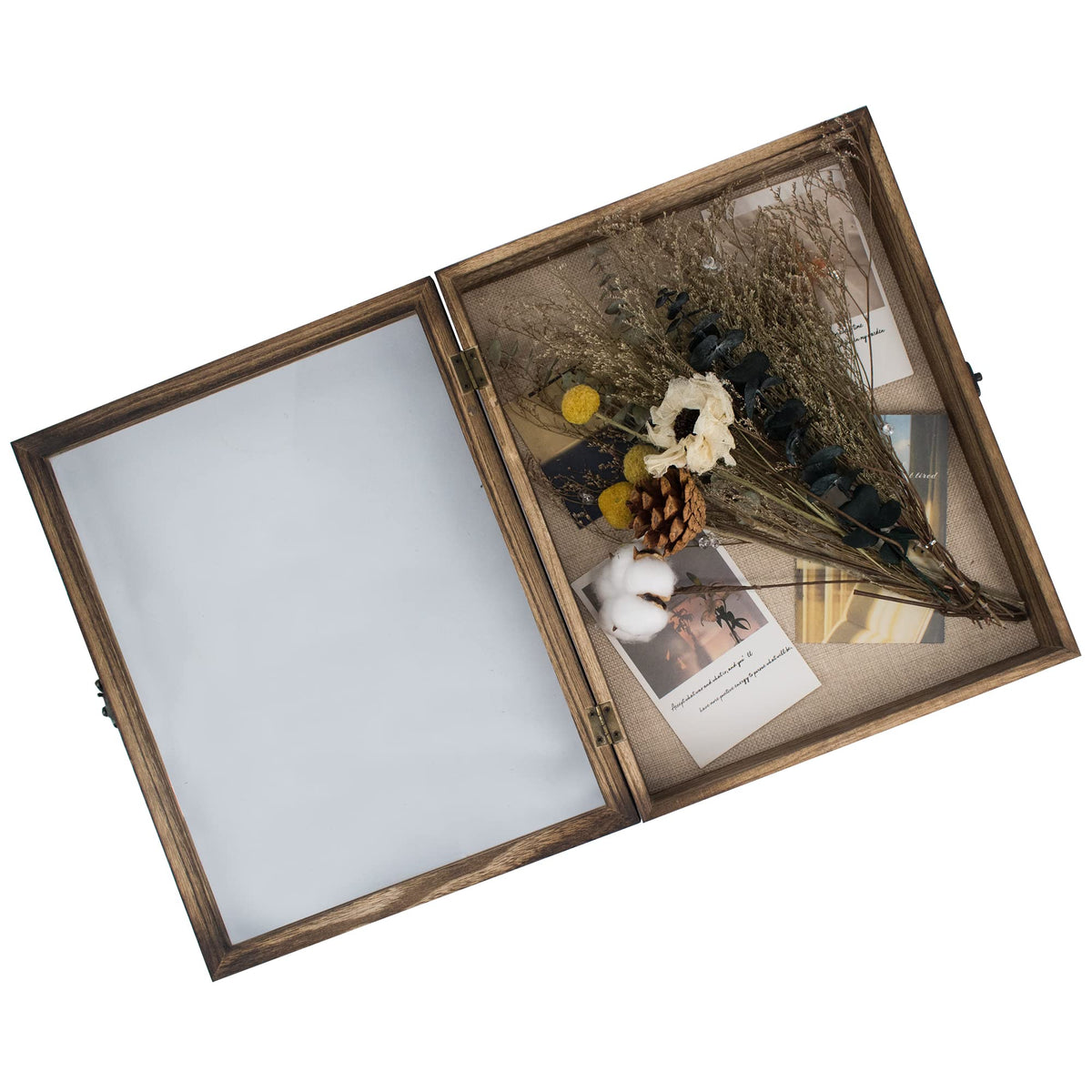 GraduatePro shadow box frame with hasp horn lock for secure display