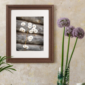 GraduationMall set of 2 frames together enhances gift-worthy home decor.