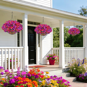 Grandeal outdoor hanging planter display ready to elevate porches and patios