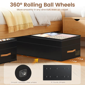 Great Dachong durable Oxford fabric and reinforced frame maintains shape