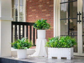 Green Moon hanging plants on a porch elevate curb appeal.