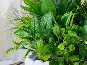 Green Moon window box greenery adds color without upkeep.