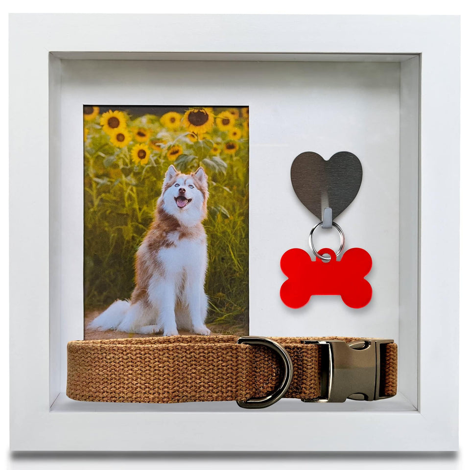 Green Pollywog shadowbox front view with photo and tag display for cherished memories.