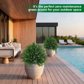 Grooy cedar topiary with flexible leaves that shape easily after transit.