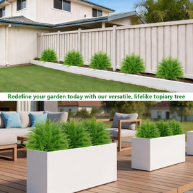 Grooy two-fern set enhances walkways with lifelike texture and ambiance.