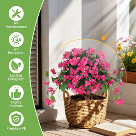 Grooy Bougainvillea Topiary Ball close-up shows green leaves and pink blooms for lifelike texture