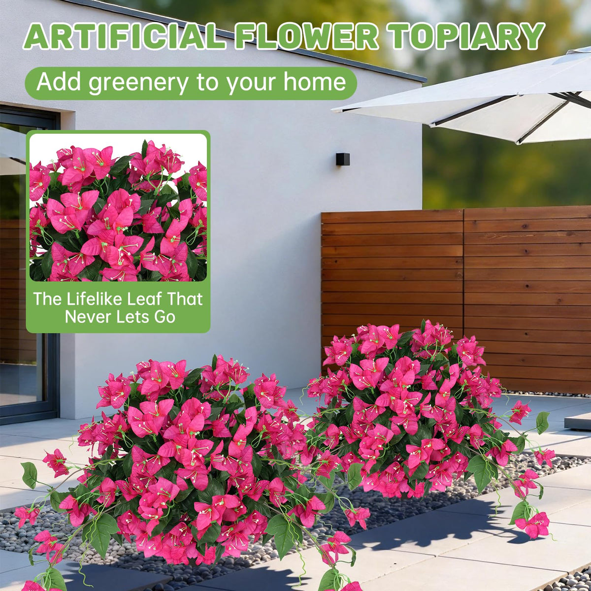 Grooy Bougainvillea Topiary Ball ready for soil or pot display with stakes