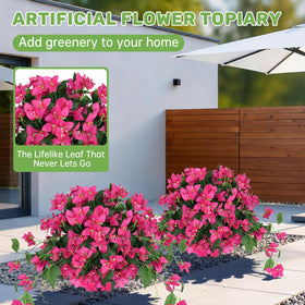 Grooy Bougainvillea Topiary Ball ready for soil or pot display with stakes