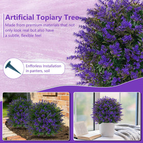 Grooy Lavender Topiary Ball garden path display in a welcoming setup.