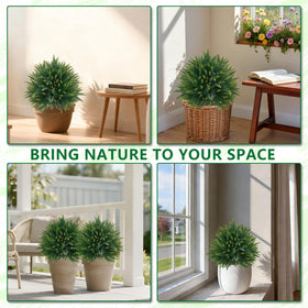 Grooy outdoor patio or porch decor with evergreen topiaries.
