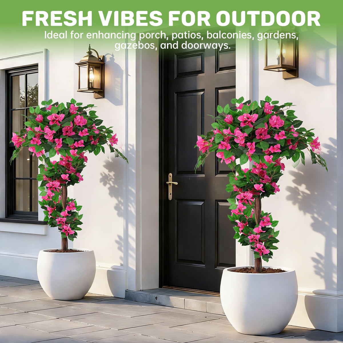 Grooy 4ft Bougainvillea topiary set on patio or balcony