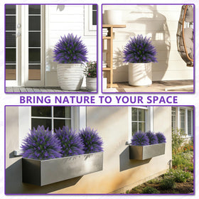 Grooy UV-resistant topiary preserves color under sun for lasting curb appeal