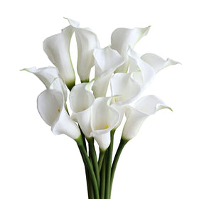 grtefhu thick soft petals white realistic touch for decor