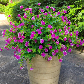 Grunyia magenta artificial flowers designed for weather-resistant outdoor displays.