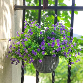 Grunyia 12-pack blooms in purple enhance a porch railing display.