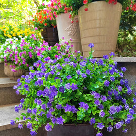 Grunyia outdoor artificial blooms in purple provide year-round color.