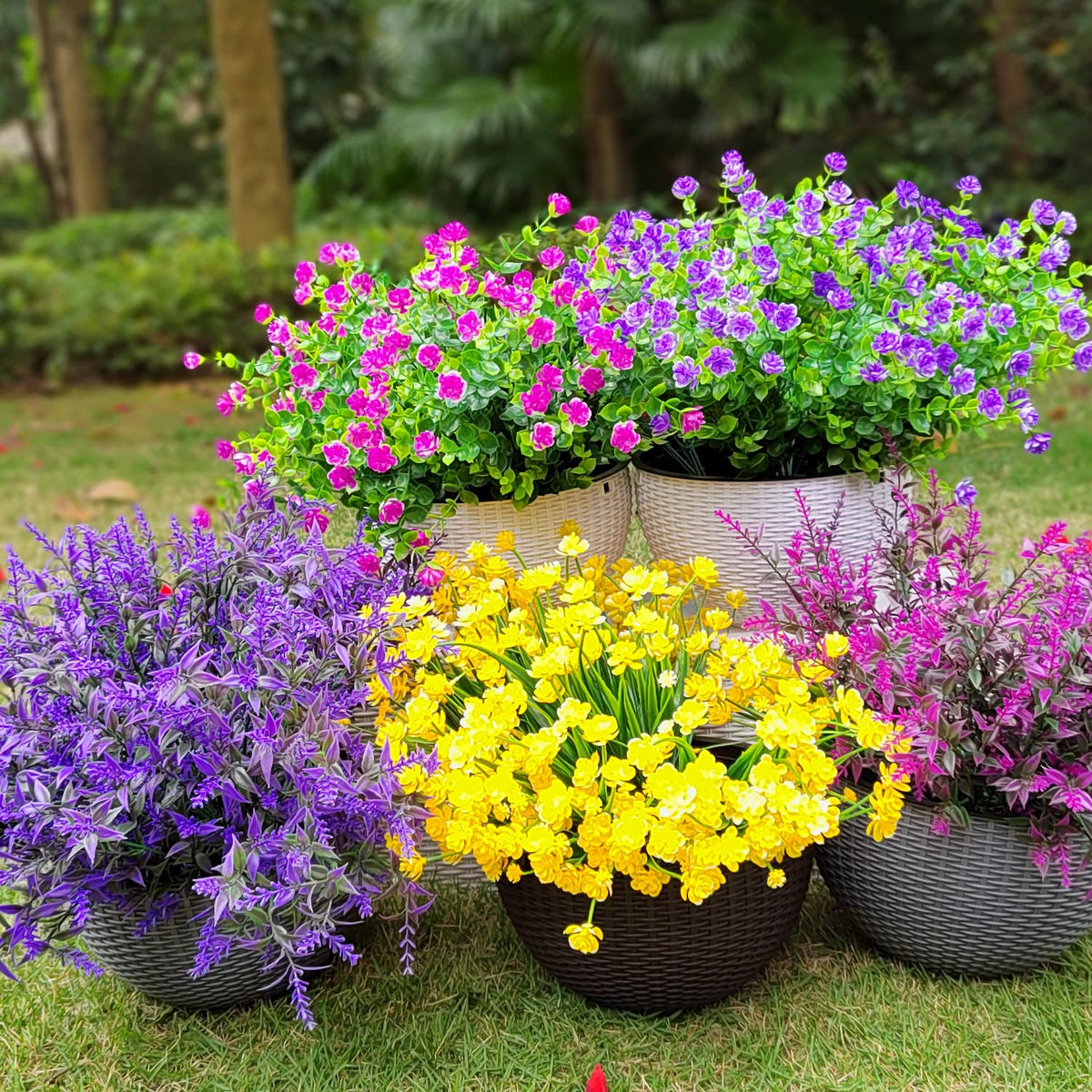 Grunyia 20-pack flowers ideal for patio boxes and garden borders.