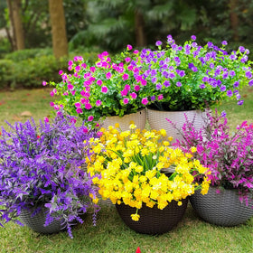 Grunyia 20-pack flowers ideal for patio boxes and garden borders.