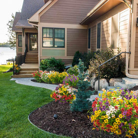 Grunyia all-season daisy decor stays lively without watering or pruning
