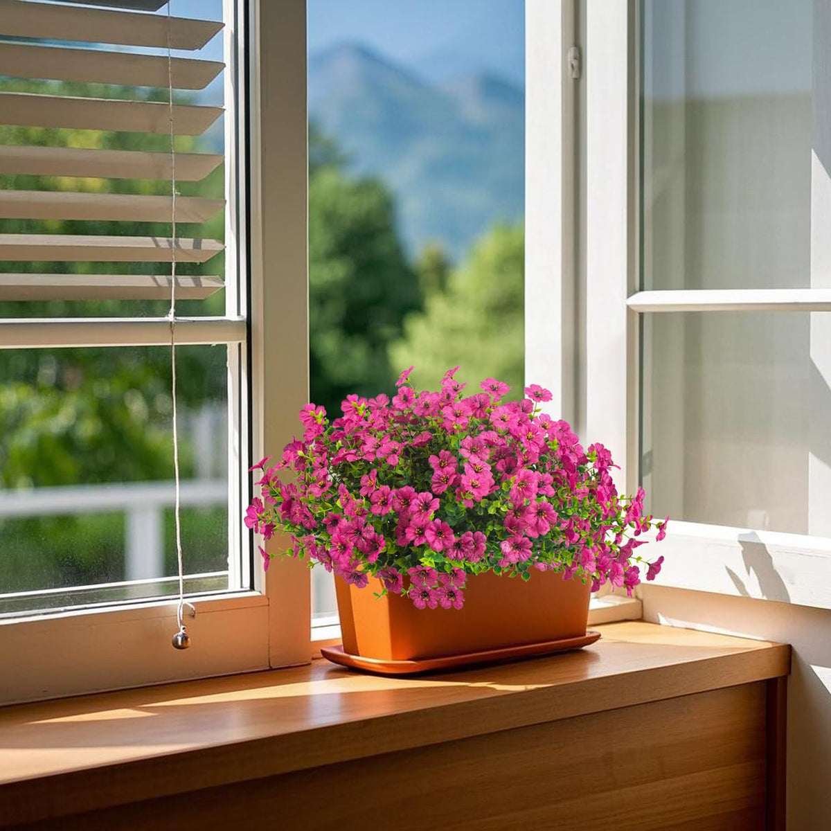 Grunyia all-season daisies provide greenery without watering or pruning.