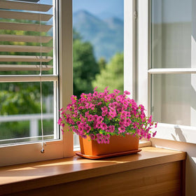 Grunyia all-season daisies provide greenery without watering or pruning.