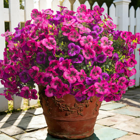 Grunyia artificial pansy flowers for outdoor planters with UV-resistant color