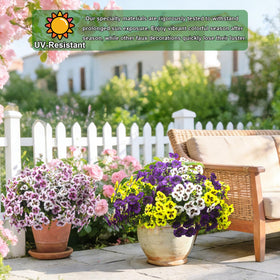 Grunyia pansy hanging basket display offers instant curb appeal.
