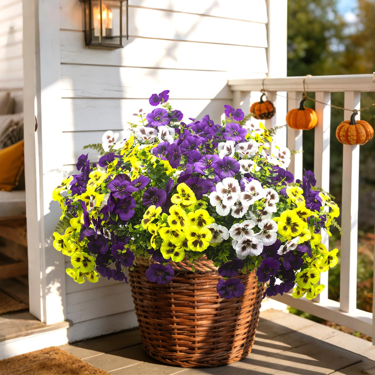 Grunyia pansy stems in mixed purple, yellow, white colors.
