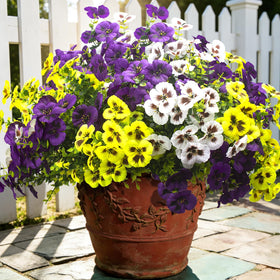 Grunyia artificial pansy close-up with real-touch petals and vivid color.