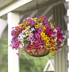 Grunyia bendable stems enable flexible bouquet shaping