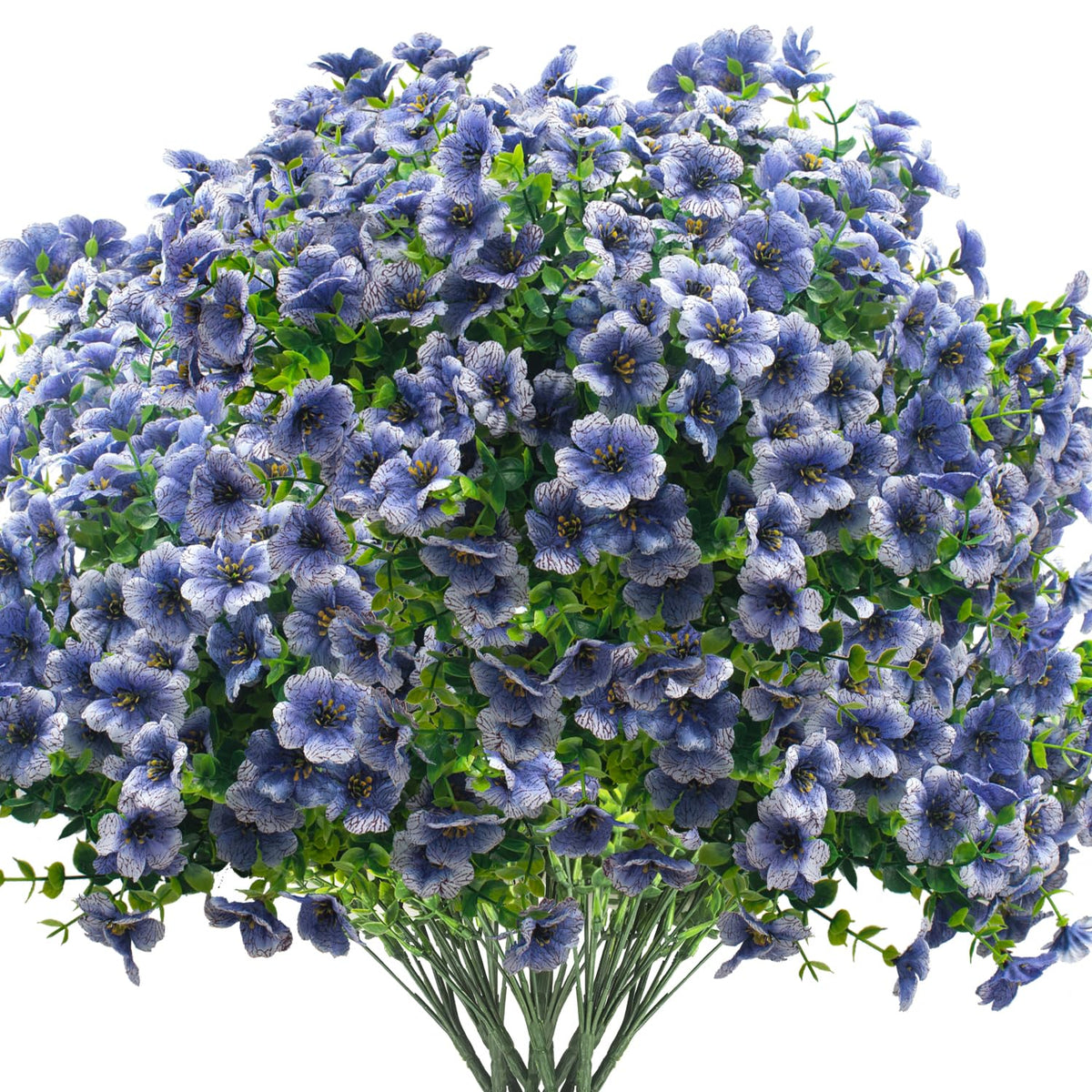 Grunyia blue daisy outdoor flowers enhance porches with year-round color.