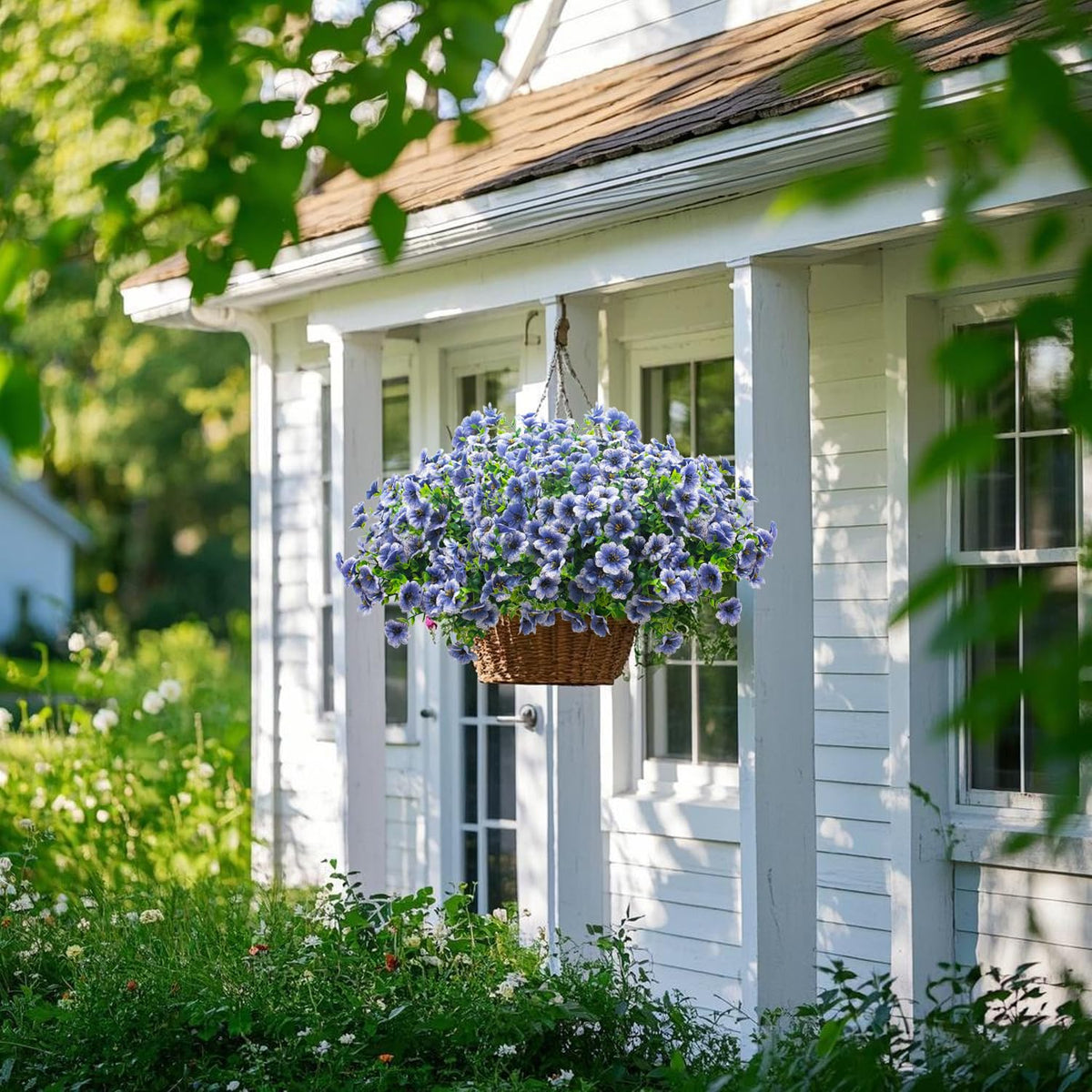 Grunyia blue daisy window box display stays vibrant in sunlight.