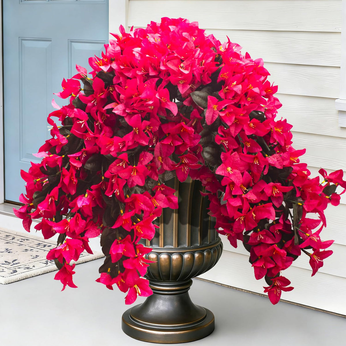 Grunyia Bougainvillea rose-red bloom close-up for patio decor.