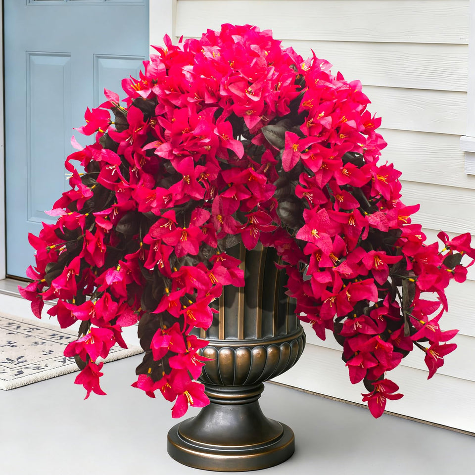 Grunyia Bougainvillea rose-red bloom close-up for patio decor.