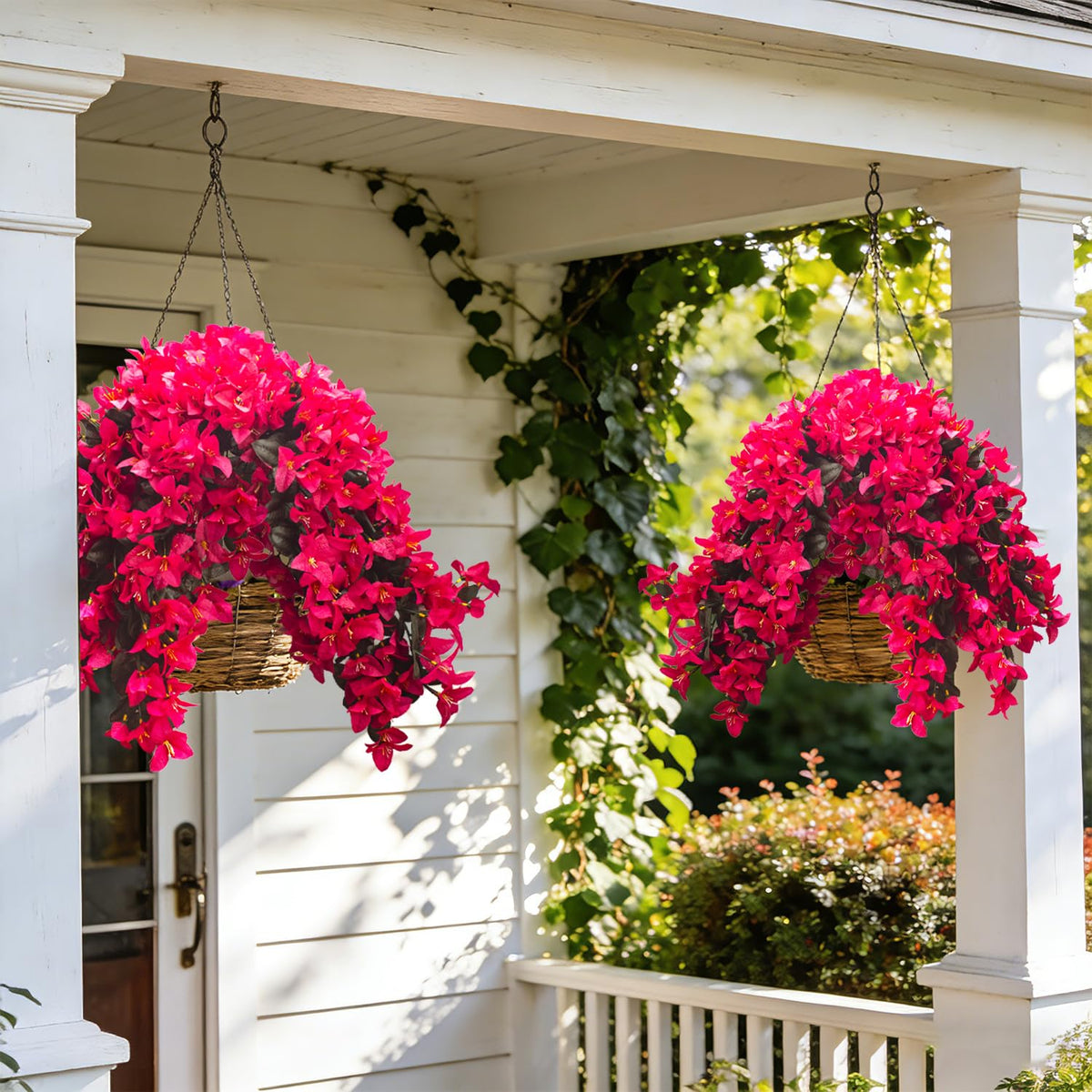Grunyia Bougainvillea rose-red indoor accent brightening living spaces.