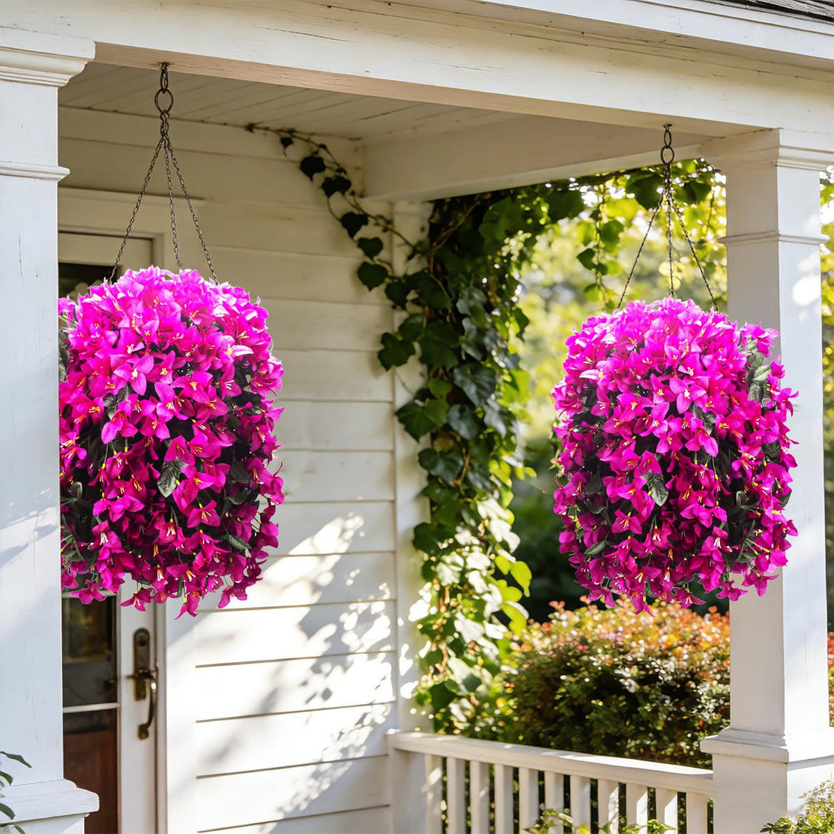 Grunyia bougainvillea vines for window boxes in fuchsia.