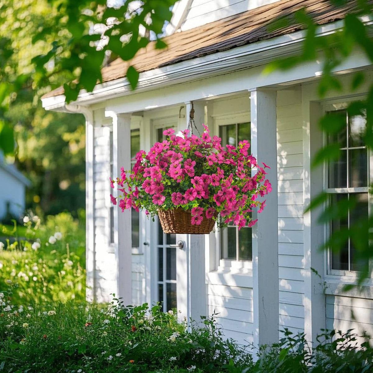 Grunyia daisy patio display stays vibrant with minimal maintenance.