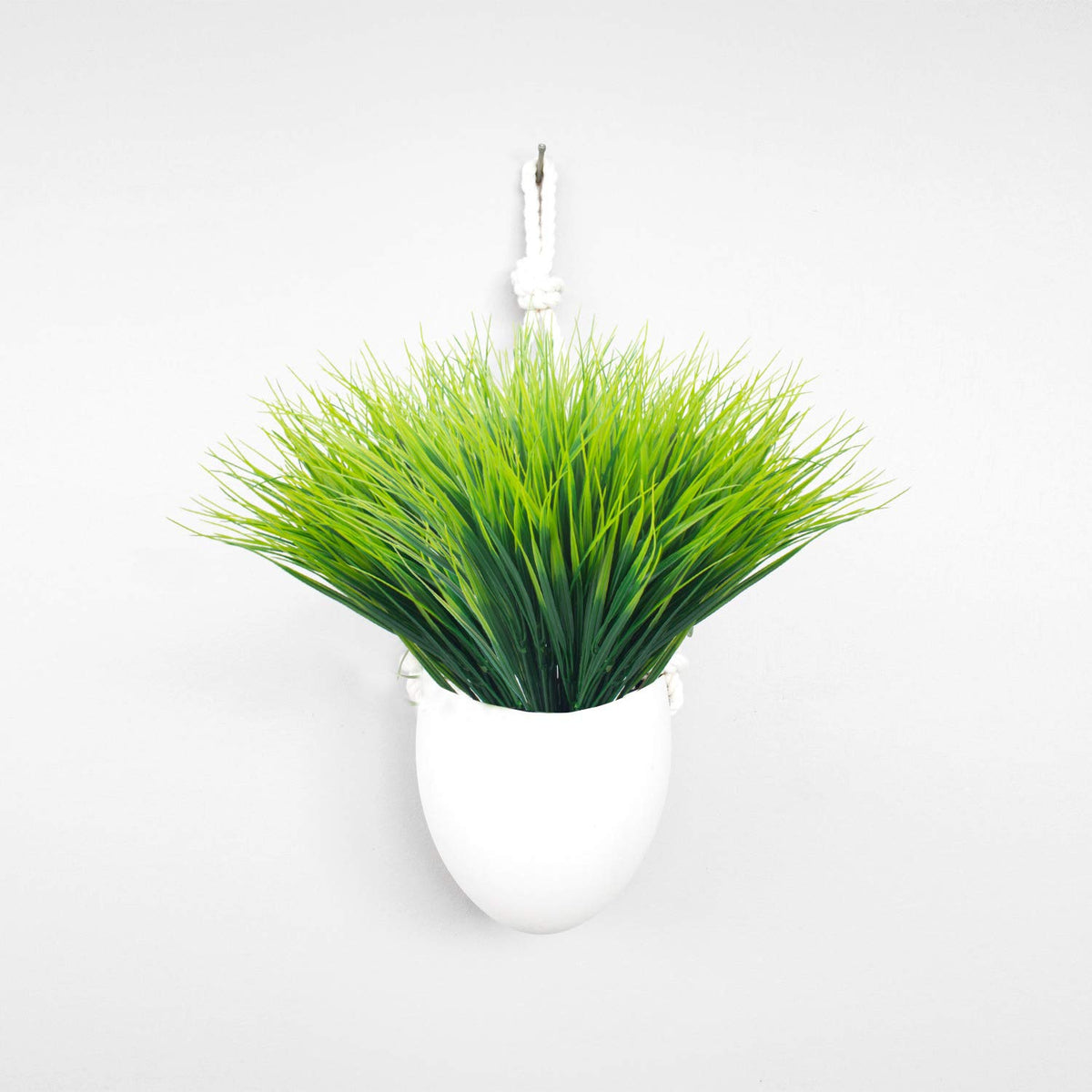 Grunyia durable no-maintenance plants provide lasting beauty