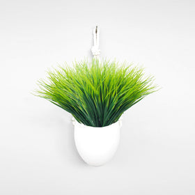 Grunyia durable no-maintenance plants provide lasting beauty