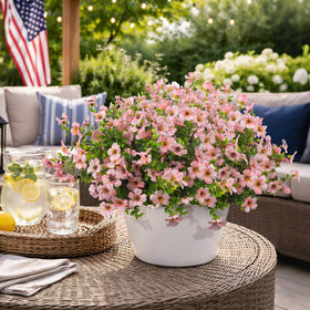 Grunyia durable weatherproof florals withstand rain and wind.