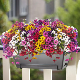 Grunyia UV-resistant faux plants for outdoor and indoor use