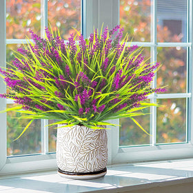 Grunyia fuchsia flowers arrangement; lush, enduring color for outdoor displays